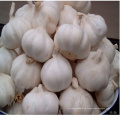 Chinesische Neu Ernte Knoblauch Rote Haut, Roter Knoblauch